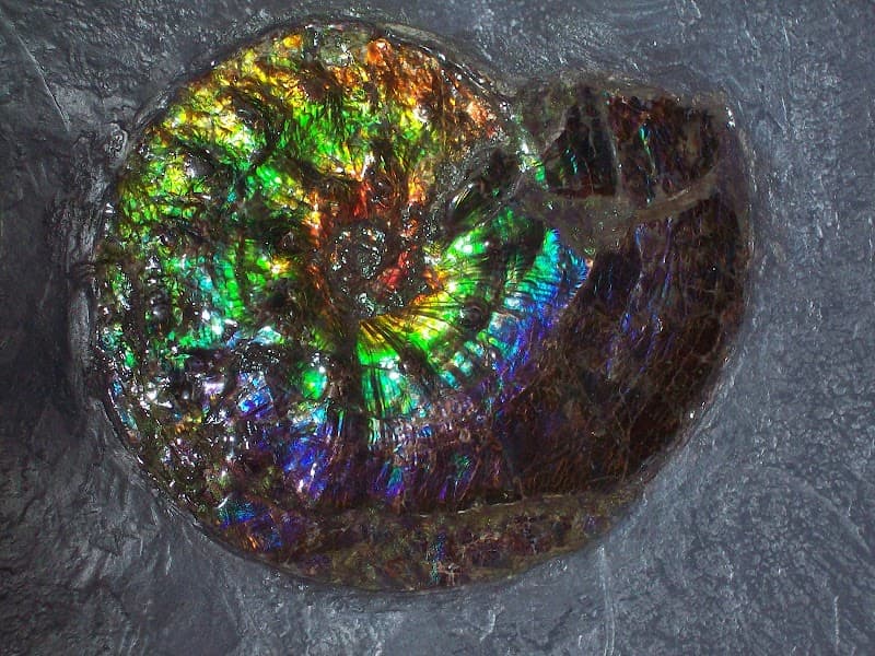 Museo Mineralogico Campano