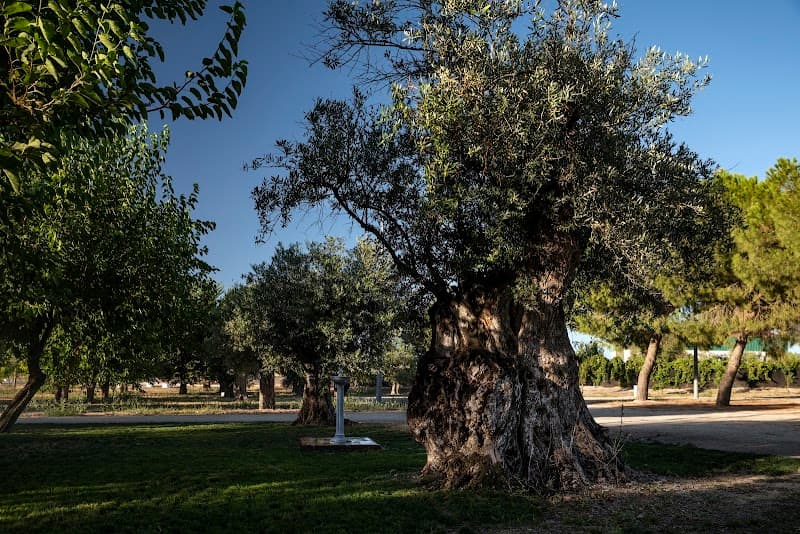 Parque de Lazer de Pias