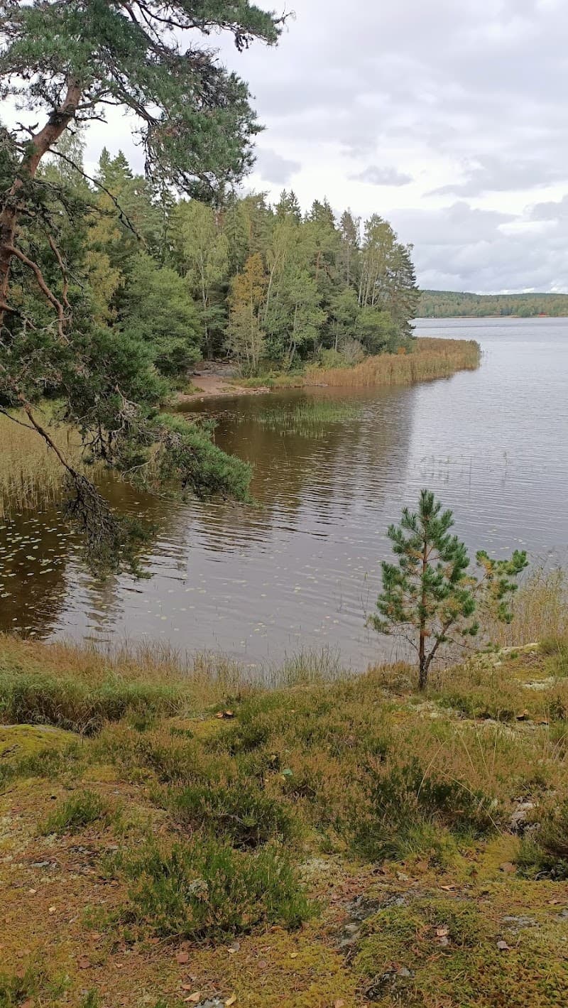 Bergs Klatt naturreservat