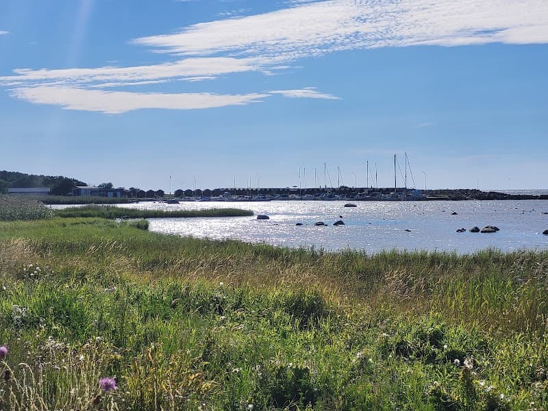 Flundrevikens Fiskelage