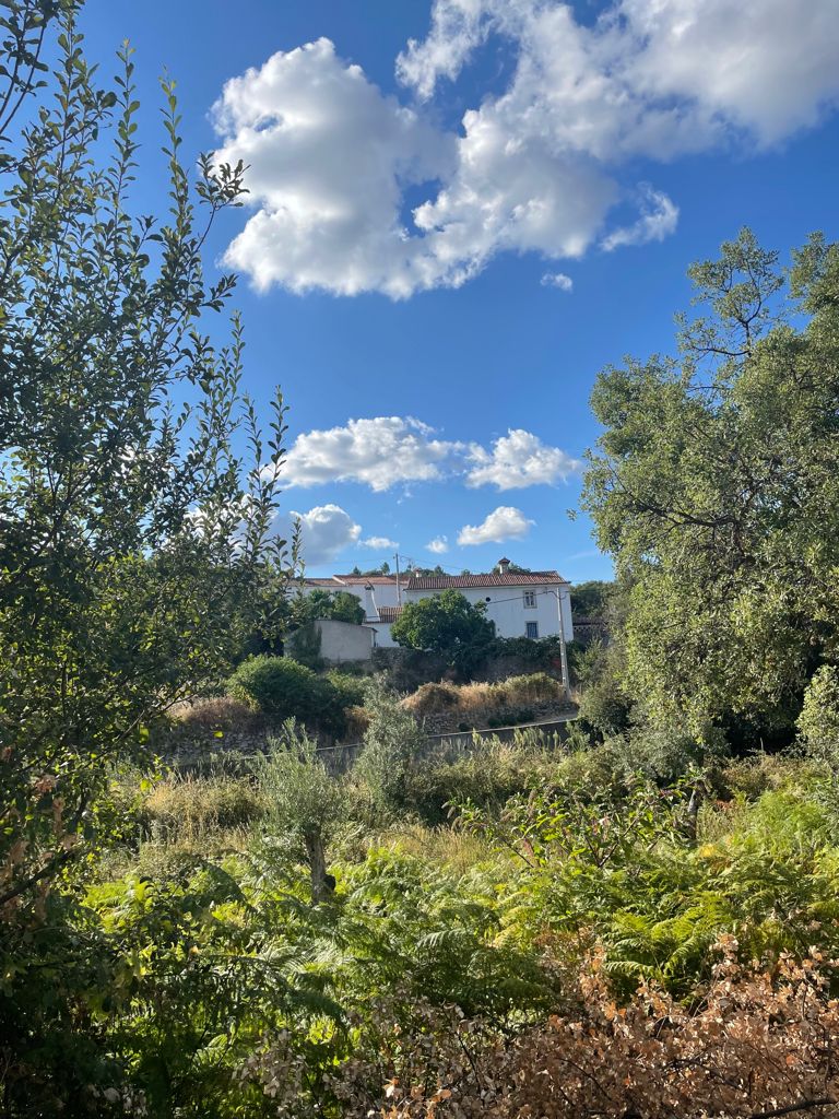 Monte Baixo