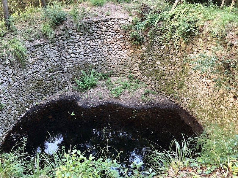 Pou de glac del bosc de Puntui