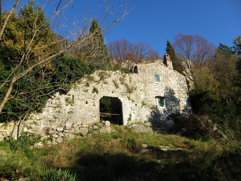 Kozljak
