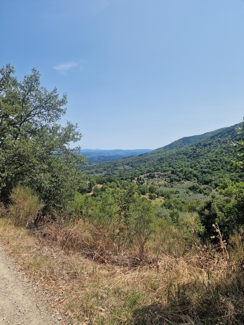 Poggio Citerna