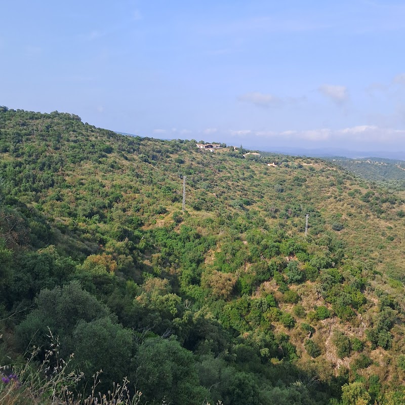La Brasa