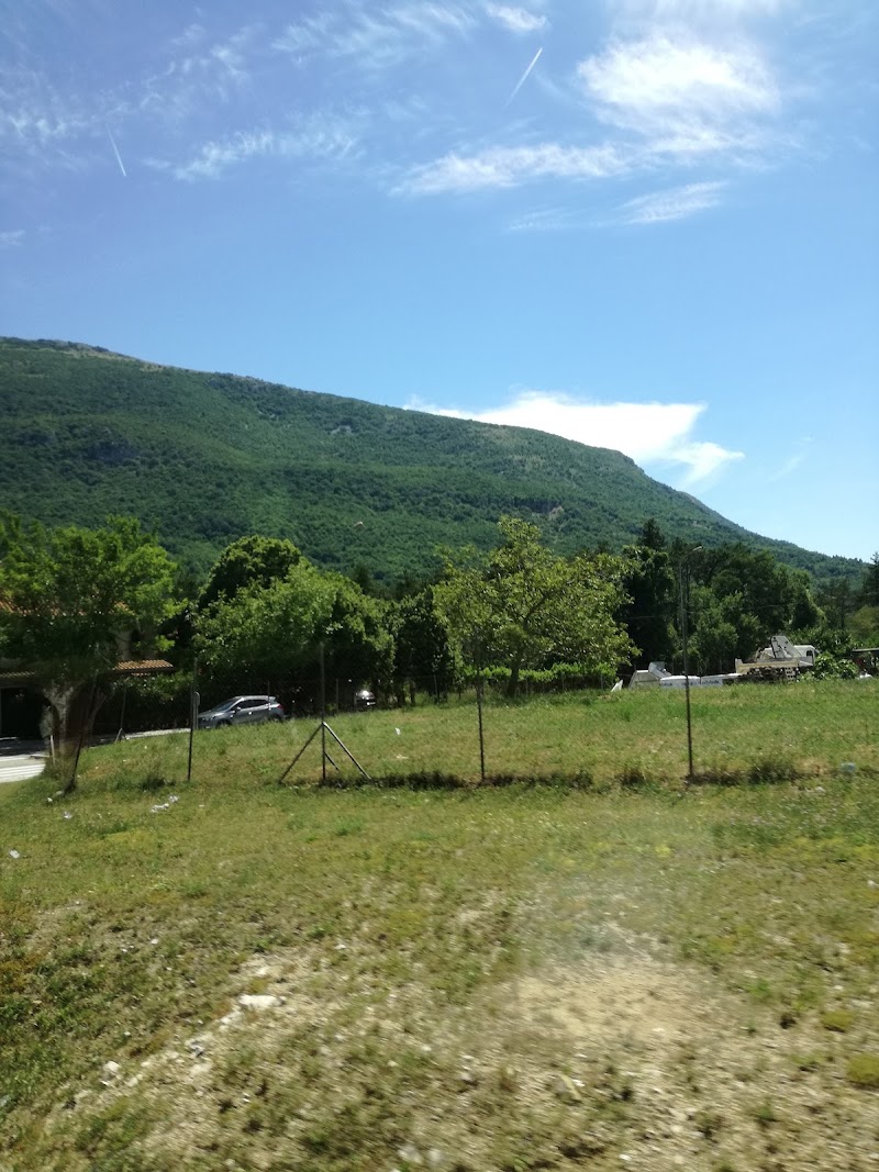 Vozilici