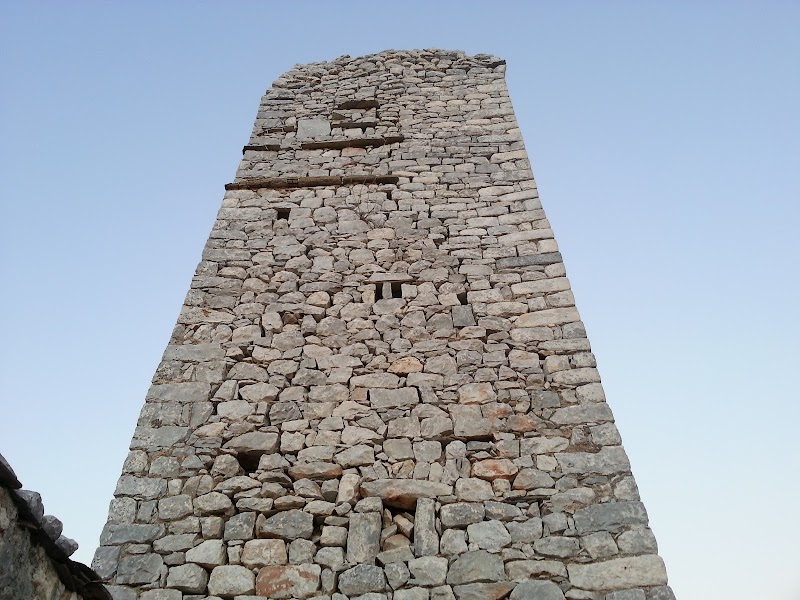 Nοmia