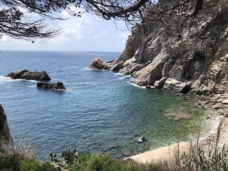 Cala del Cau