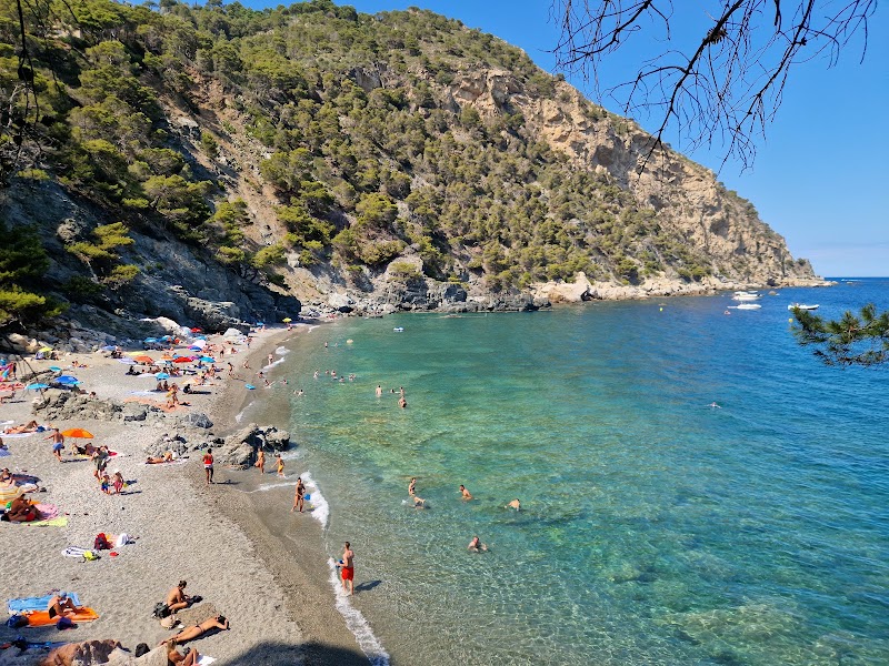 Platja Fonda