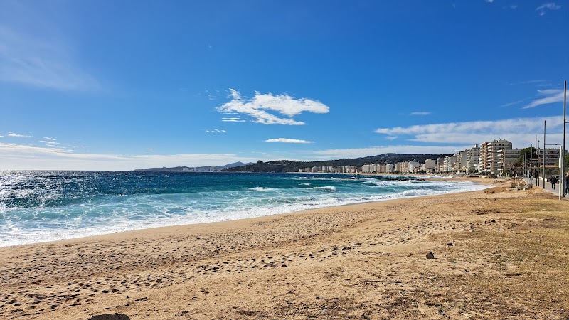 Platja des Monestri