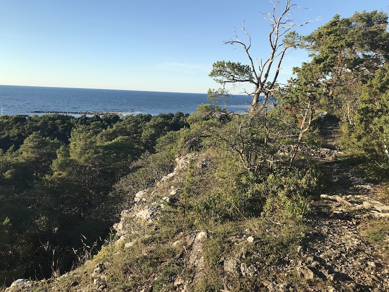 Bergbetningen