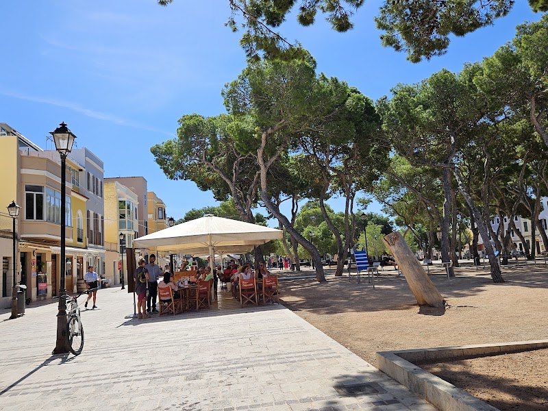 Placa des Pins