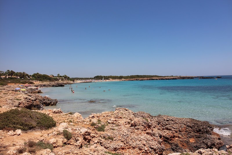 Cala en Bosch